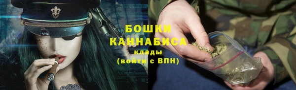 ПСИЛОЦИБИНОВЫЕ ГРИБЫ Гусиноозёрск