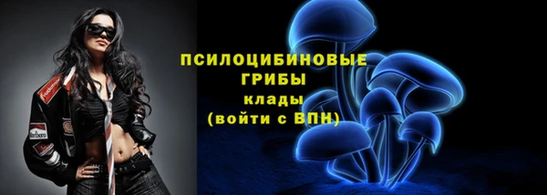 ALPHA PVP Гусев