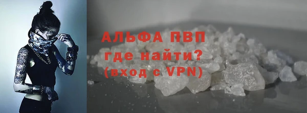 ПСИЛОЦИБИНОВЫЕ ГРИБЫ Гусиноозёрск