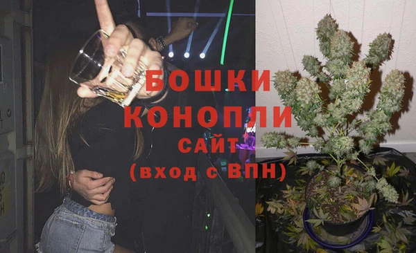 ALPHA PVP Гусев