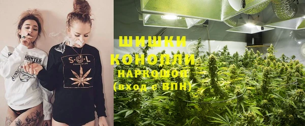 ПСИЛОЦИБИНОВЫЕ ГРИБЫ Гусиноозёрск