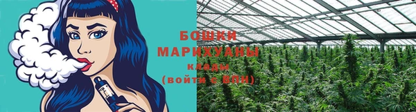 ПСИЛОЦИБИНОВЫЕ ГРИБЫ Гусиноозёрск